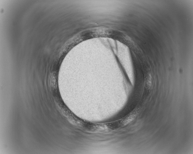 X0000054430715200508262347