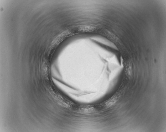 X0000054430716200508262347