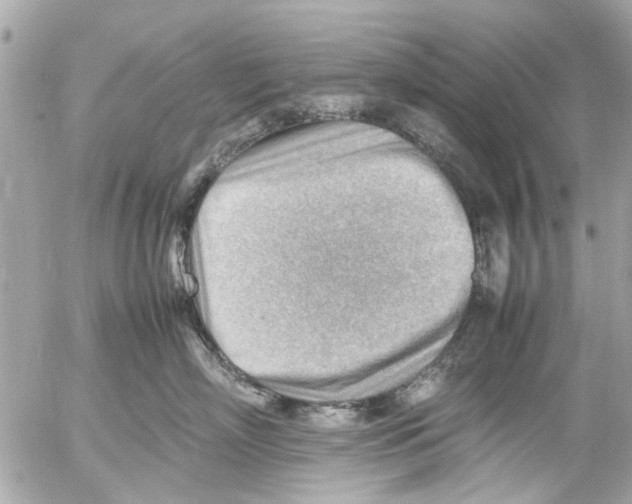 X0000054430718200508262347