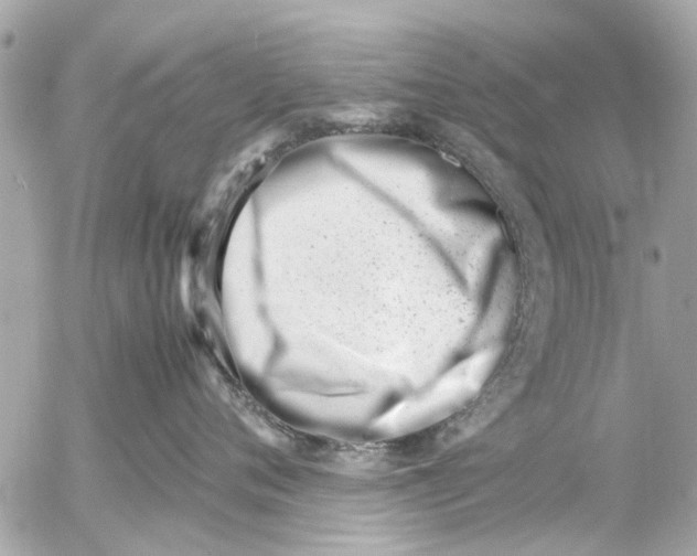 X0000054430720200508262347