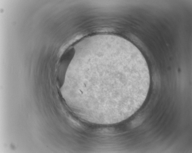 X0000054430721200508262346