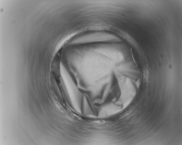 X0000054430724200508262346