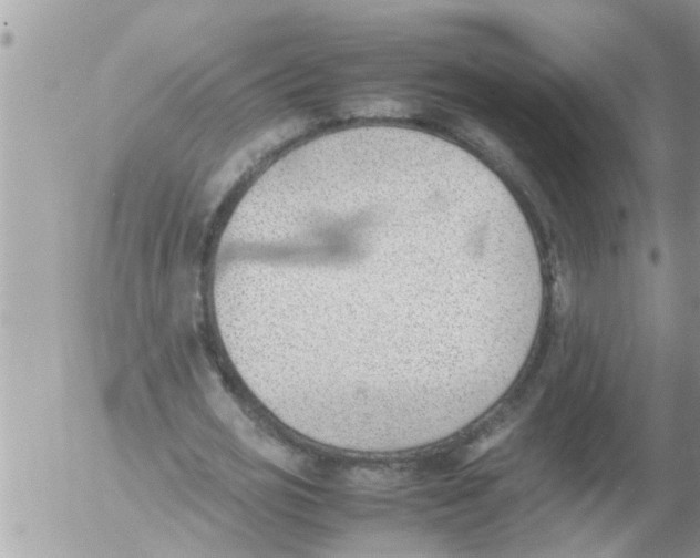 X0000054430725200508262346