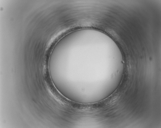 X0000054430728200508262347