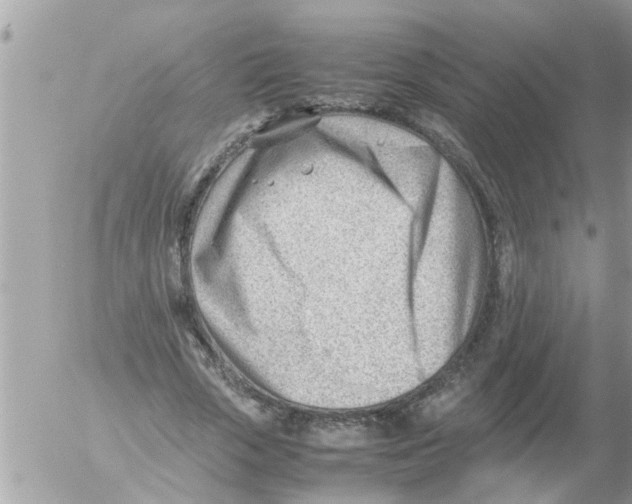 X0000054430729200508262347