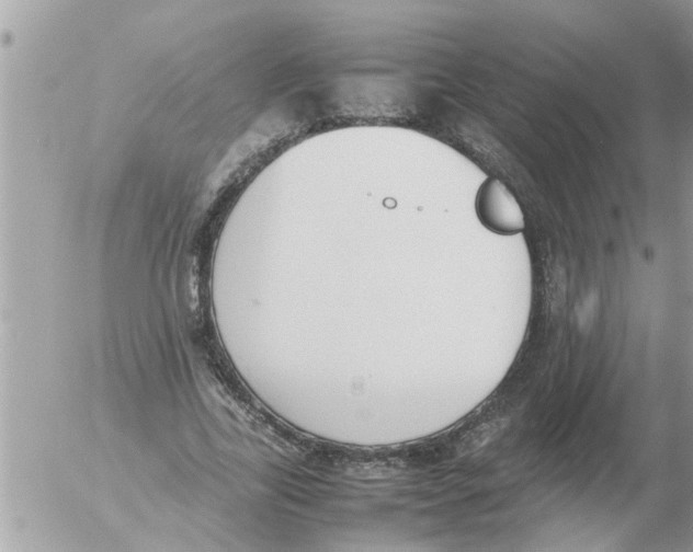 X0000054430731200508262347