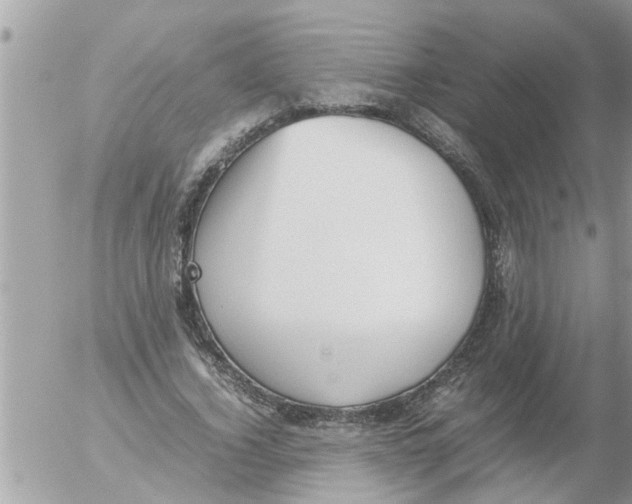 X0000054430732200508262347