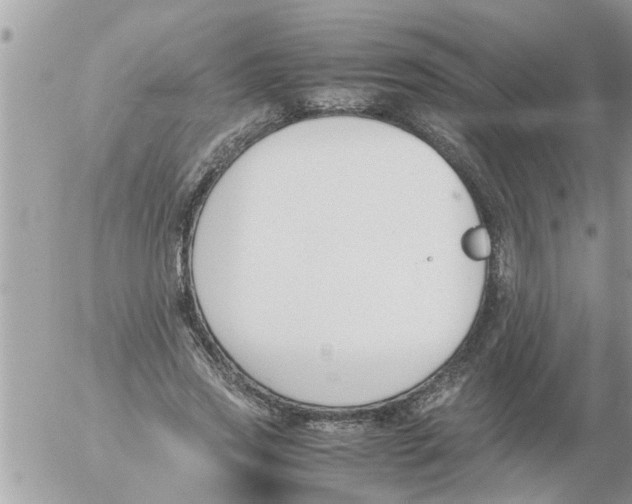 X0000054430733200508262347