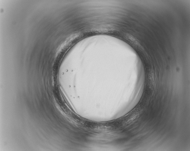 X0000054430734200508262347