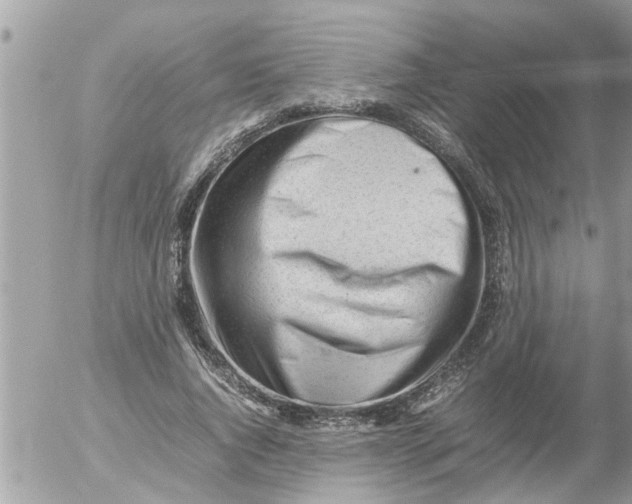 X0000054430736200508262347