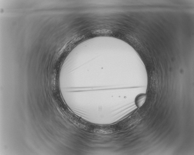 X0000054430739200508262347