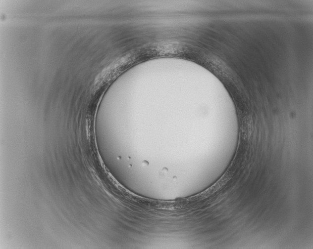 X0000054430740200508262347