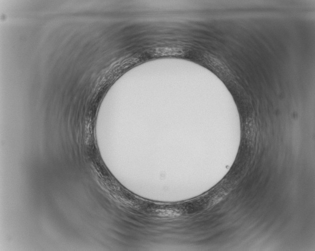 X0000054430741200508262347