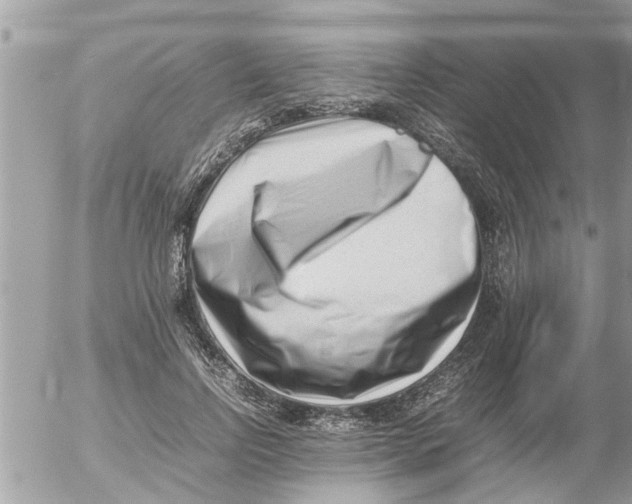 X0000054430742200508262347