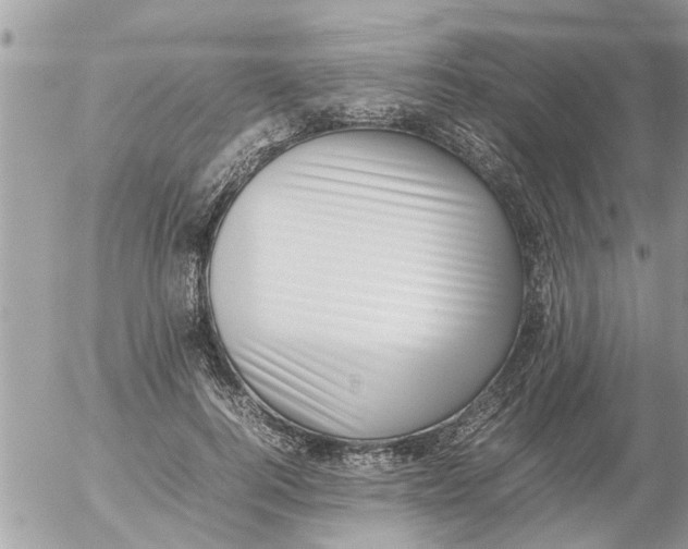 X0000054430744200508262347