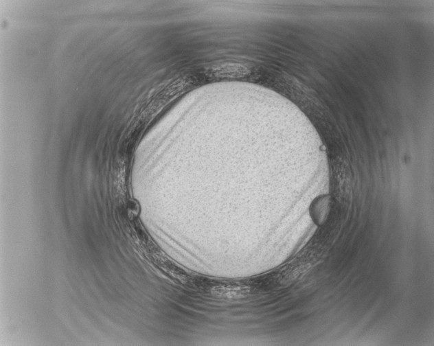 X0000054430745200508262347