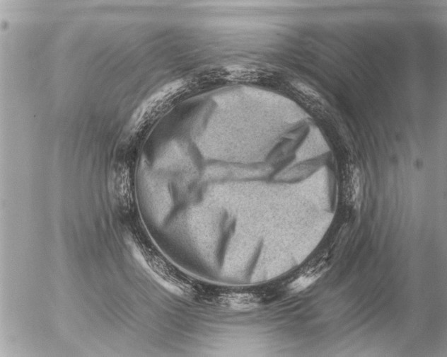 X0000054430748200508262347