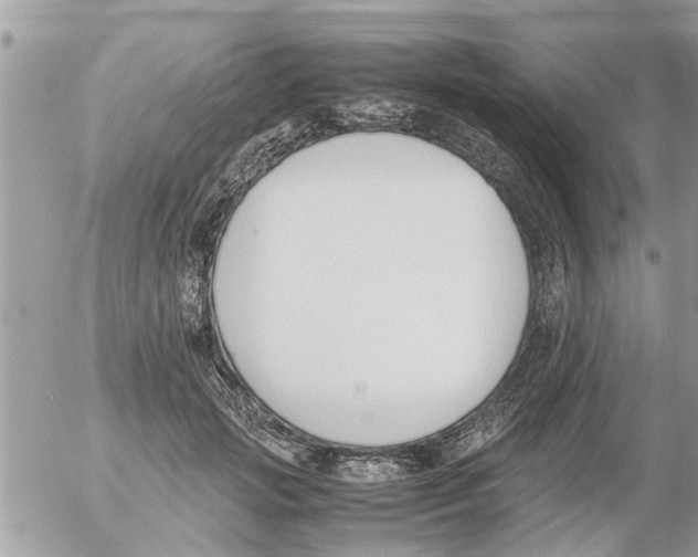 X0000054430749200508262347