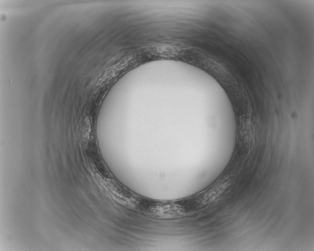 X0000054430752200508262347