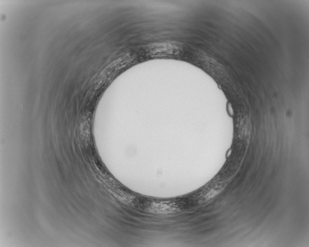 X0000054430753200508262347