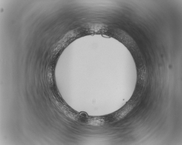 X0000054430754200508262347