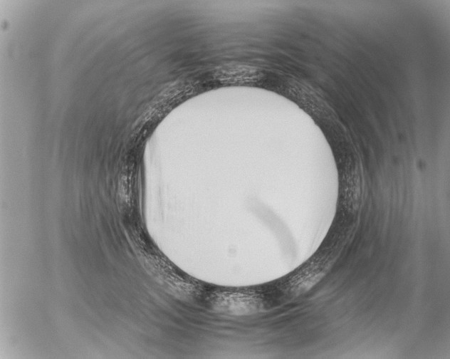 X0000054430755200508262347