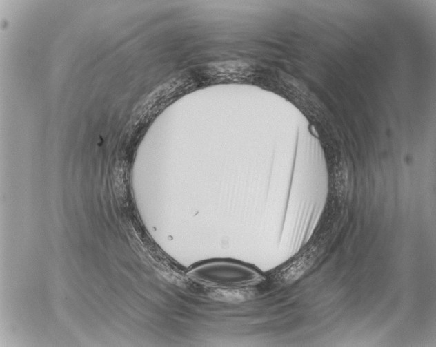 X0000054430757200508262347