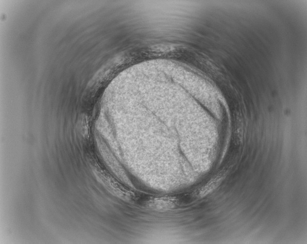 X0000054430758200508262347