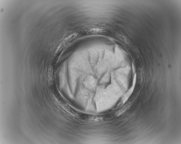 X0000054430760200508262347