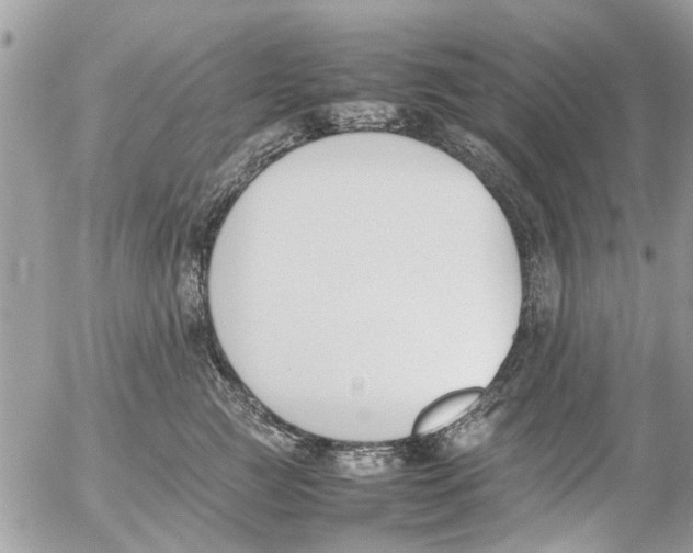 X0000054430761200508262347