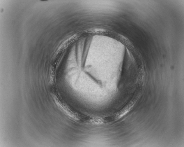 X0000054430762200508262347