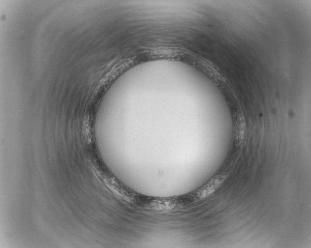 X0000054430764200508262347