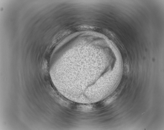 X0000054430765200508262347