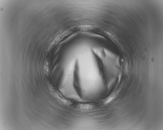 X0000054430766200508262347