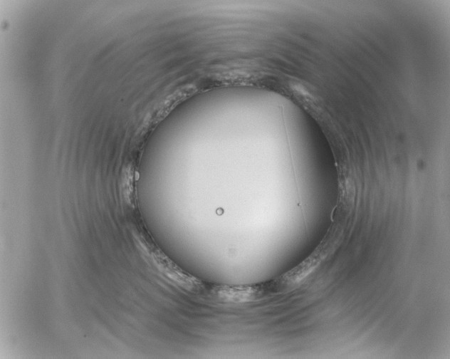 X0000054430767200508262347