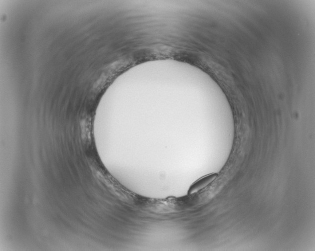 X0000054430768200508262347