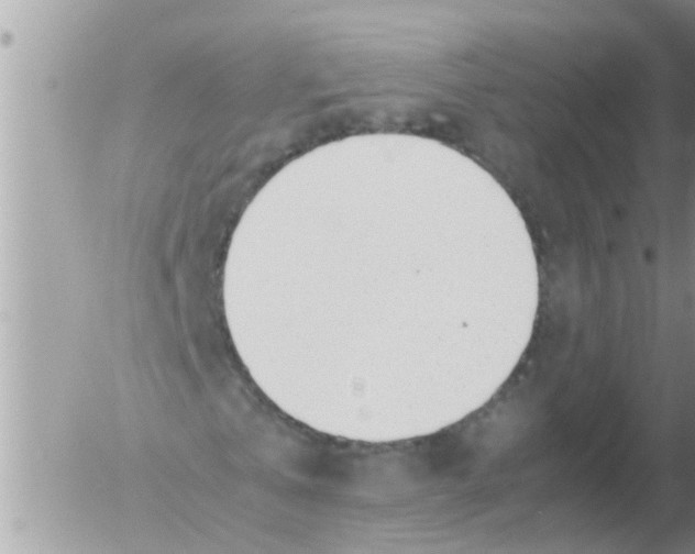 X0000054430769200508262346