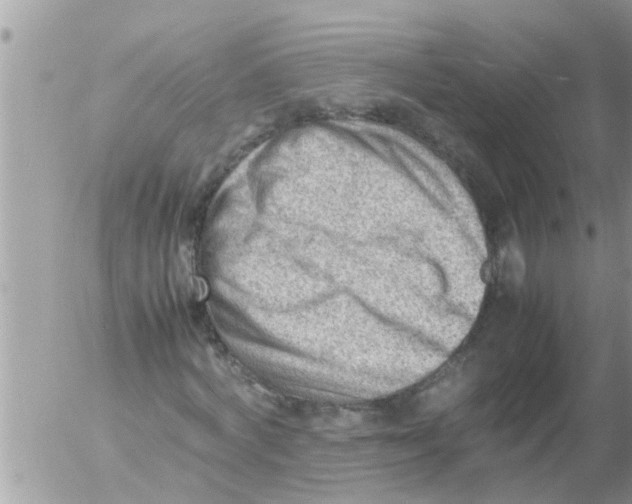 X0000054430772200508262346