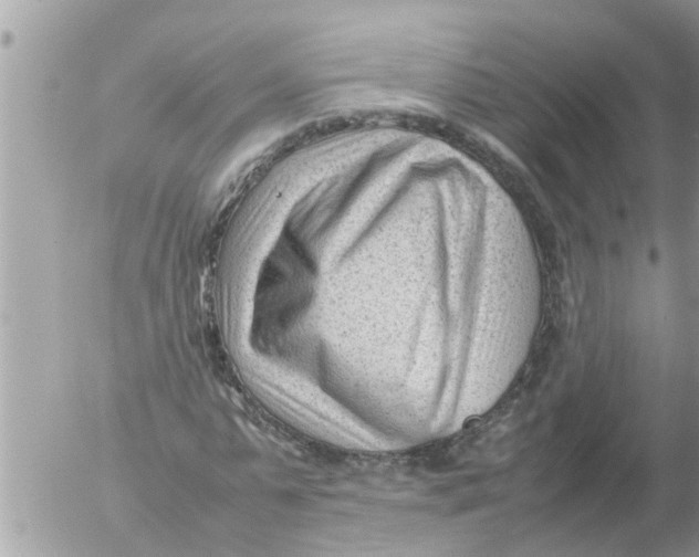 X0000054430775200508262346