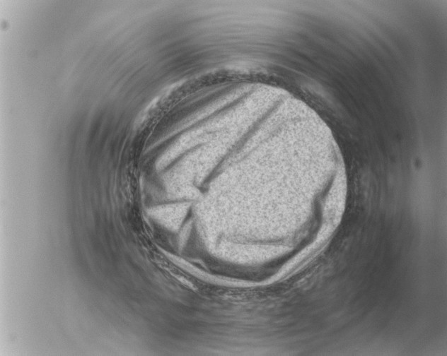 X0000054430776200508262346