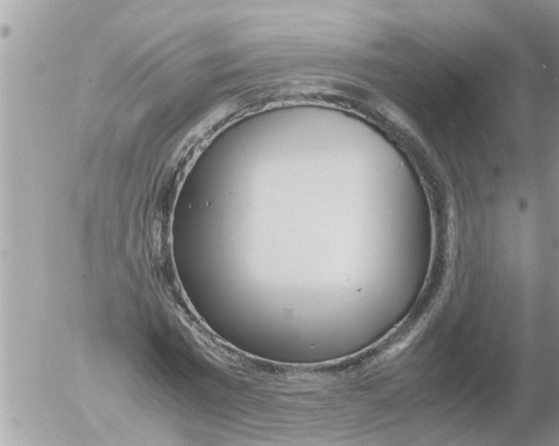 X0000054430777200508262346