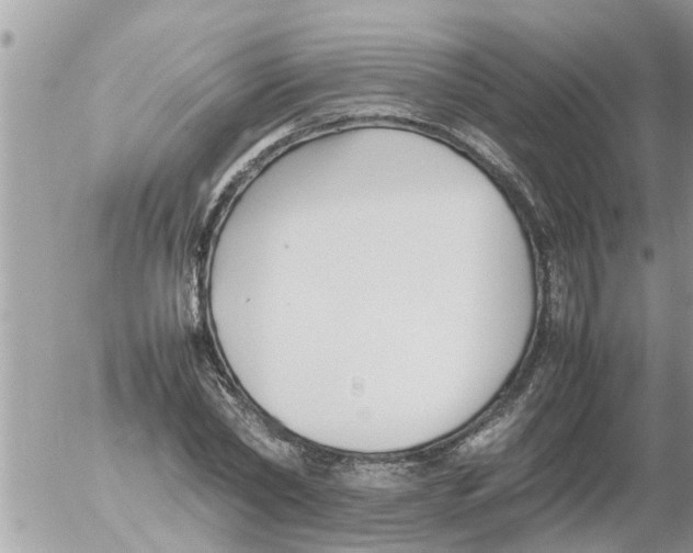 X0000054430782200508262346