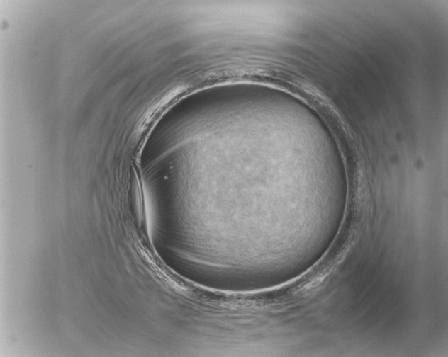 X0000054430785200508262346