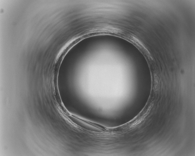 X0000054430788200508262346