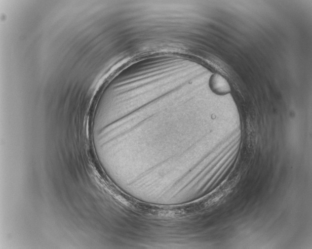 X0000054430790200508262346