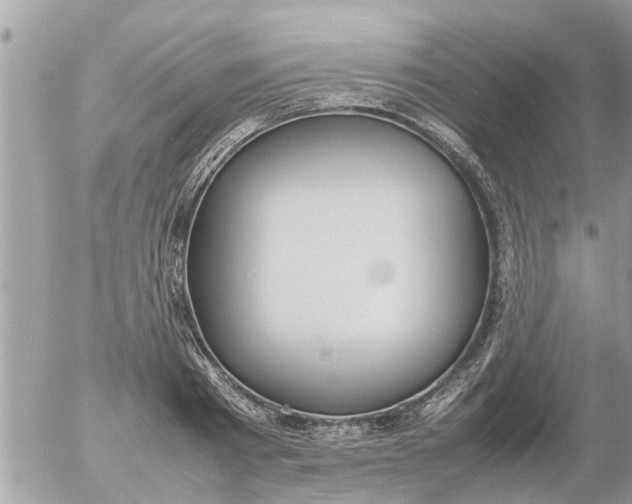 X0000054430793200508262346