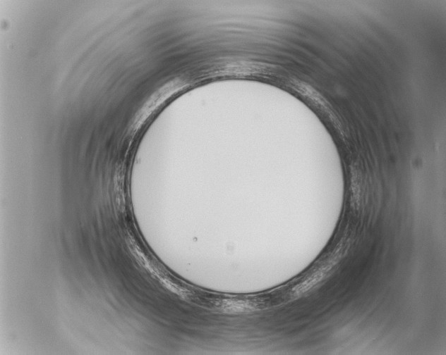 X0000054430794200508262346