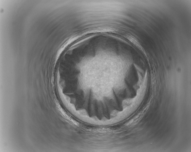 X0000054430797200508262346