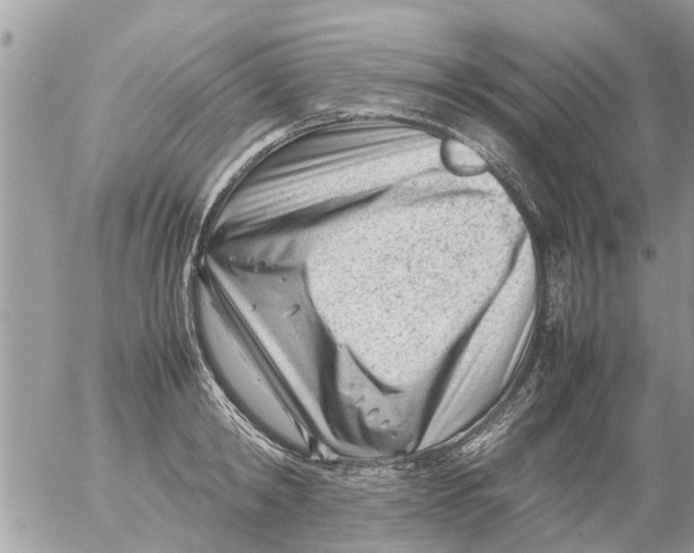 X0000054430798200508262346