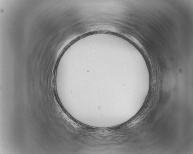 X0000054430799200508262346